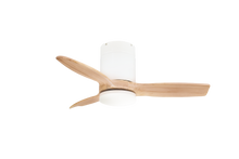Load image into Gallery viewer, OAK SPIN Smart WiFi - SPIN PTE LTD