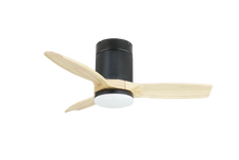 Load image into Gallery viewer, OAK SPIN Smart WiFi - SPIN PTE LTD